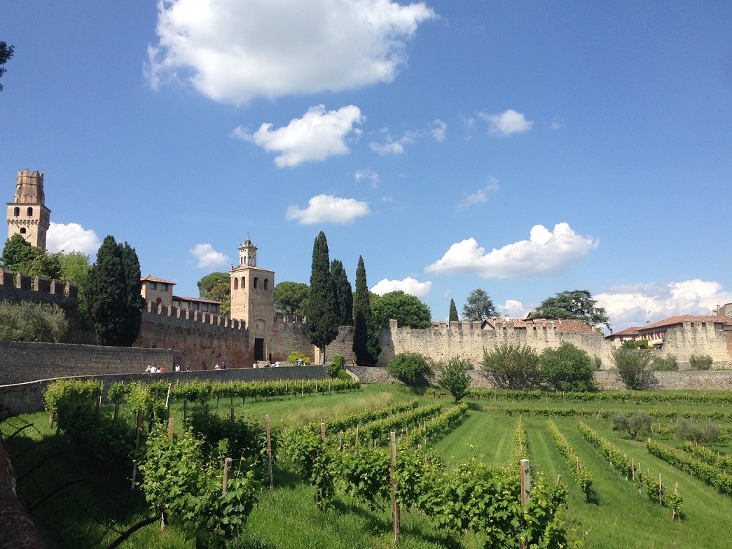 prosecco tour with walking tours with tasting on the prosecco hills
